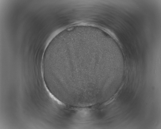 X0000077991247200611101720