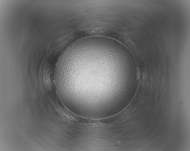 X0000077991250200611101719