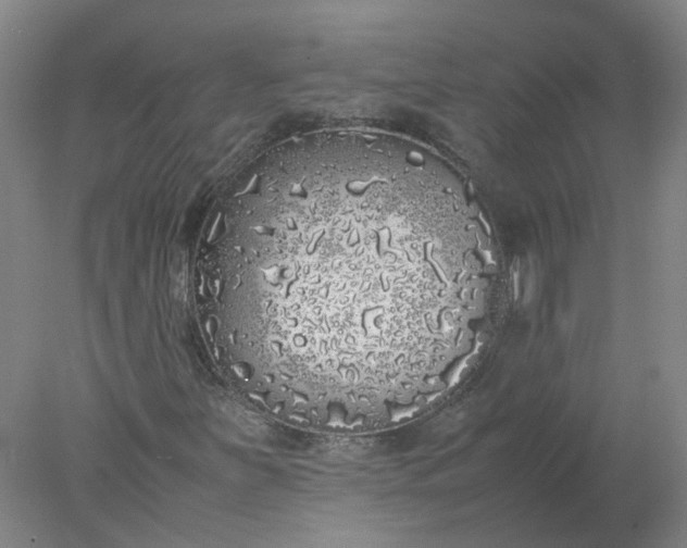 X0000077991251200611101719