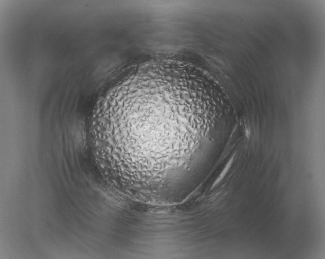 X0000077991252200611101719