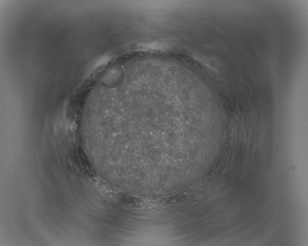 X0000077991254200611101719