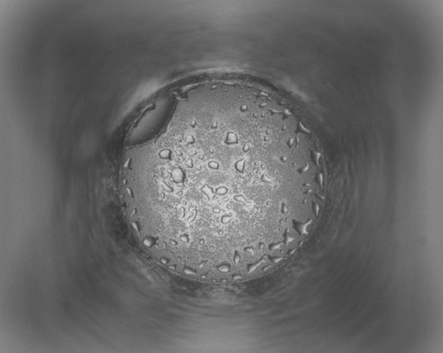 X0000077991255200611101719