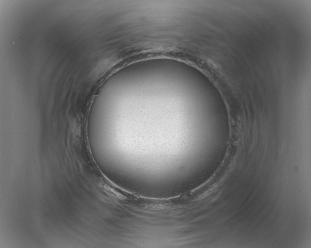 X0000077991257200611101719