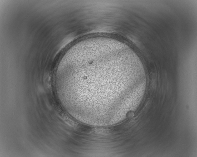 X0000077991258200611101719