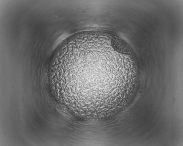 X0000077991259200611101719