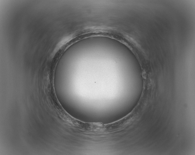 X0000077991261200611101719