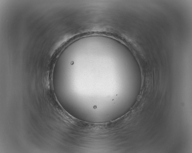 X0000077991262200611101719