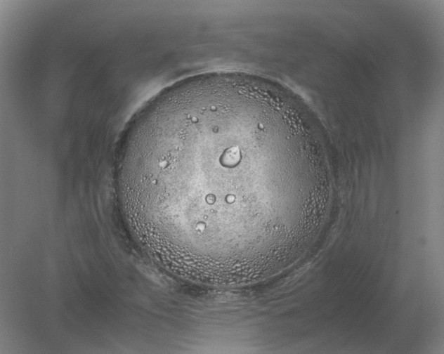 X0000077991263200611101719