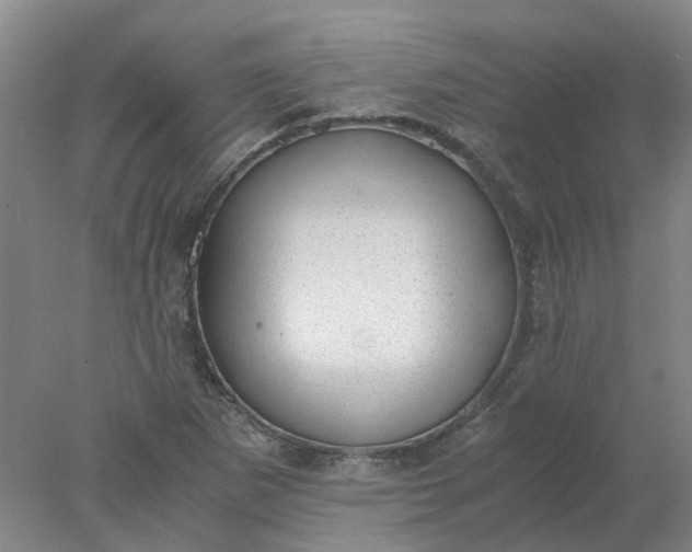 X0000077991265200611101719