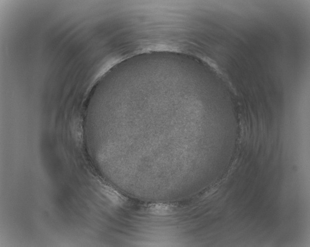 X0000077991266200611101719