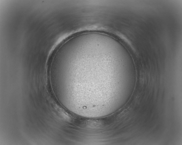 X0000077991270200611101719