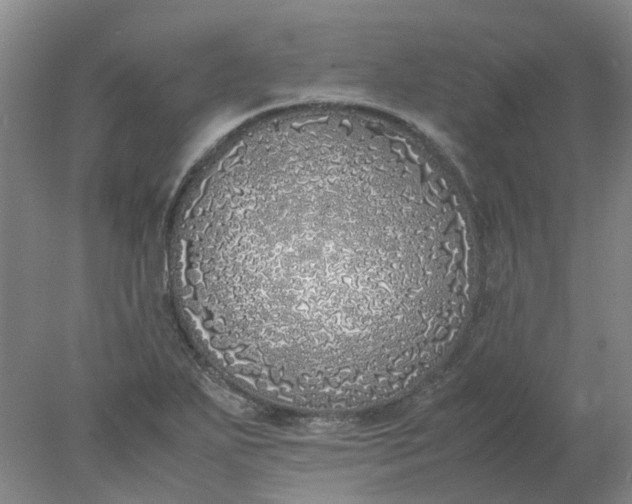 X0000077991271200611101719