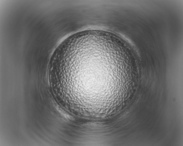 X0000077991272200611101719