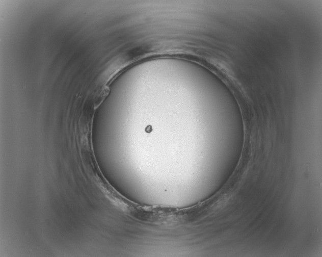 X0000077991273200611101719