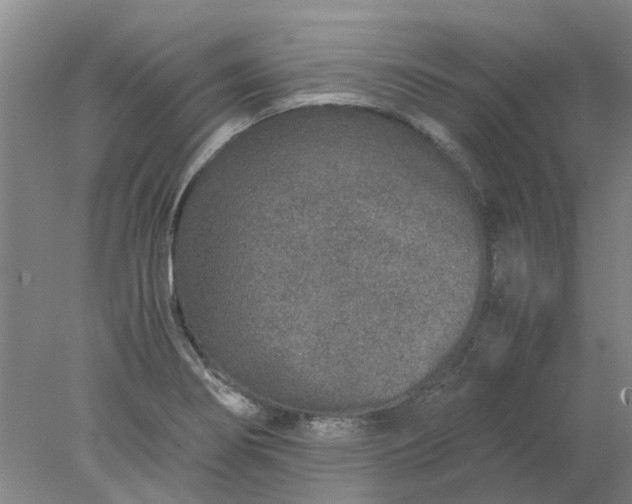 X0000077991274200611101719