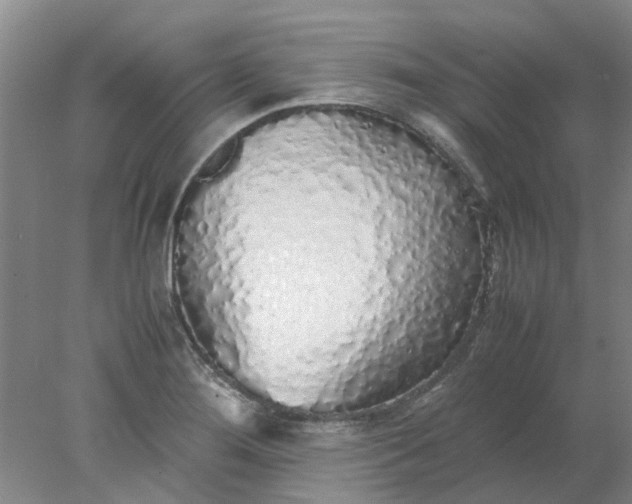 X0000077991276200611101719