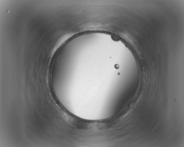 X0000077991277200611101719