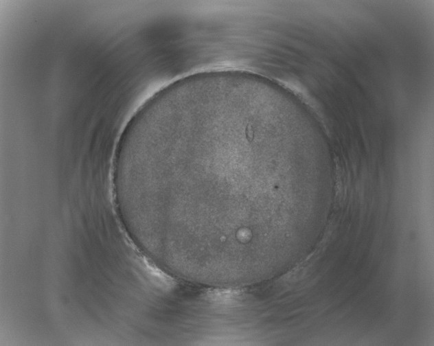 X0000077991278200611101719