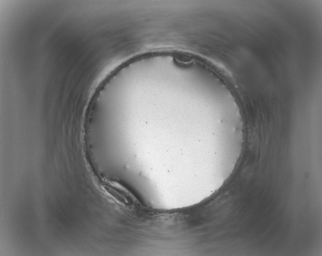 X0000077991279200611101719