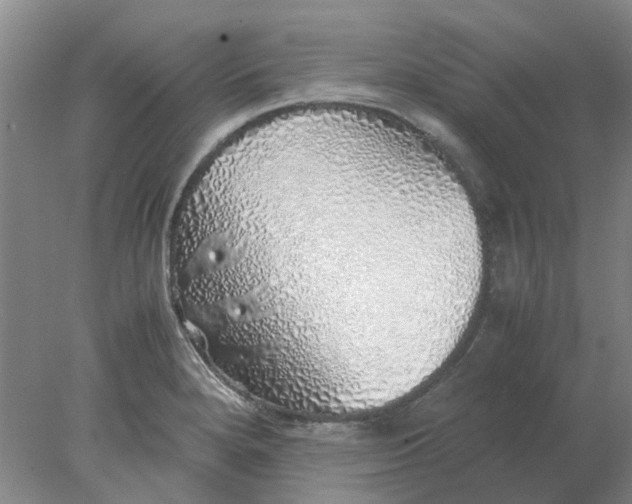 X0000077991280200611101719