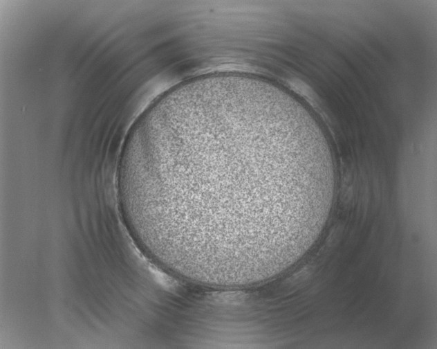 X0000077991282200611101718