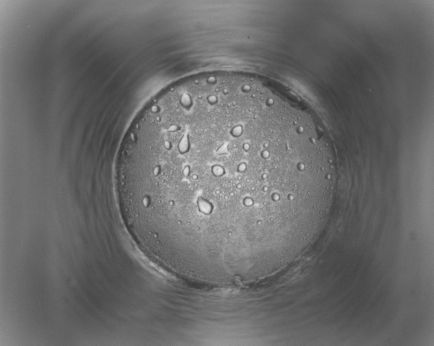 X0000077991283200611101718