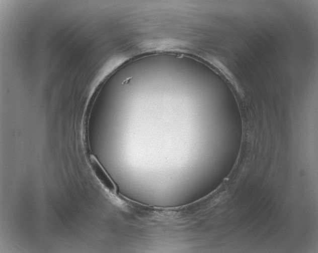 X0000077991285200611101718