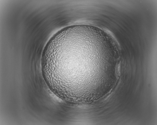 X0000077991288200611101718