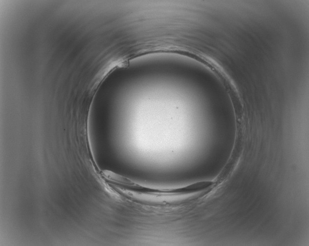 X0000077991289200611101718