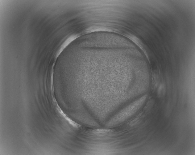 X0000077991290200611101718