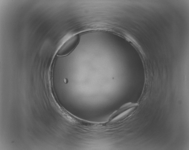 X0000077991291200611101718