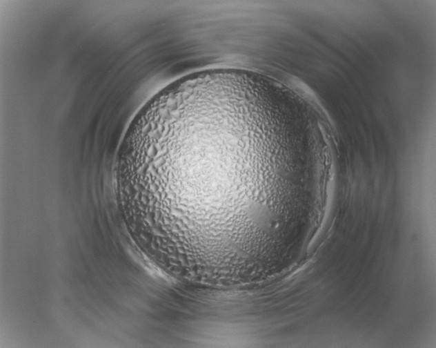 X0000077991292200611101718