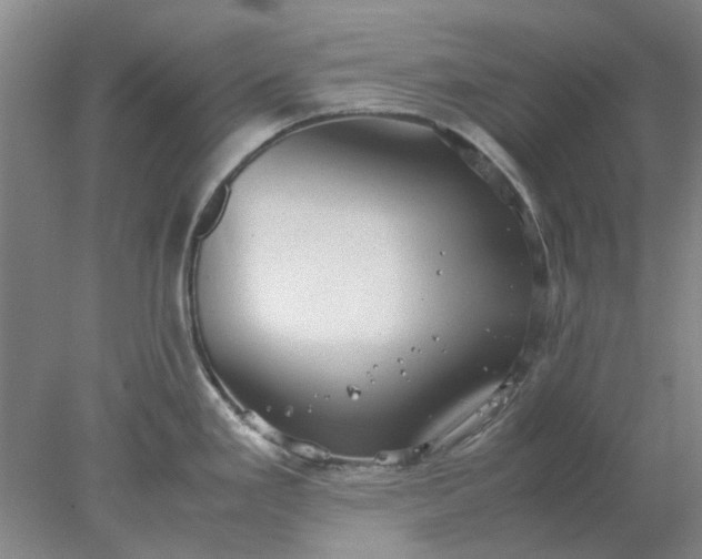 X0000077991293200611101718