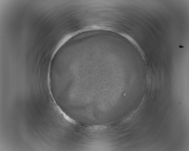 X0000077991294200611101718