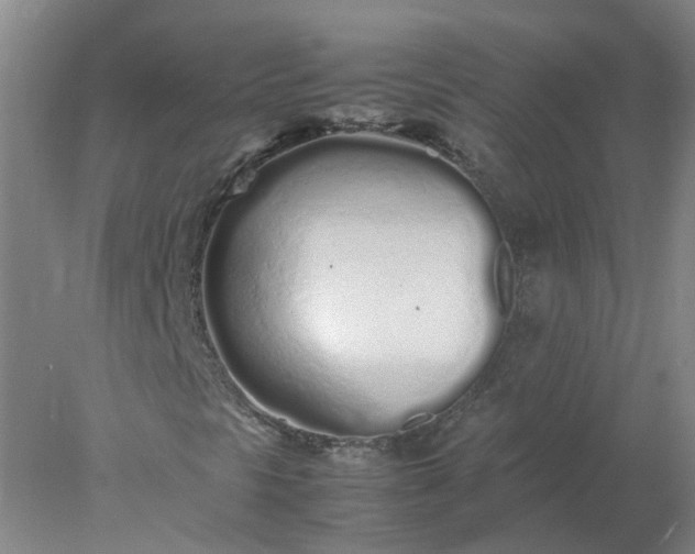 X0000077991297200611101717