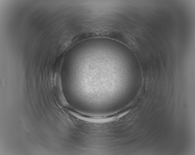 X0000077991298200611101717