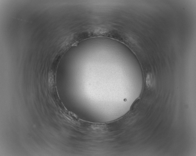 X0000077991299200611101717