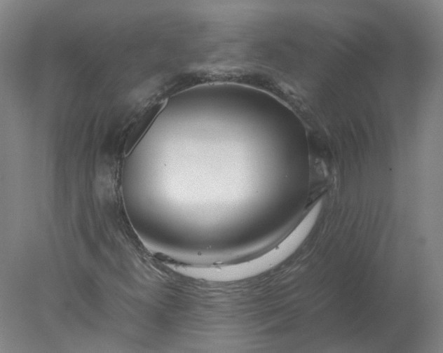 X0000077991300200611101717