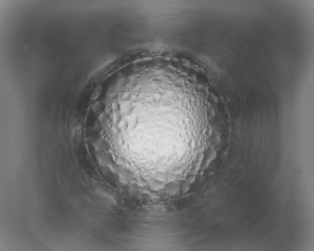 X0000077991302200611101718