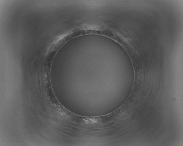 X0000077991303200611101718