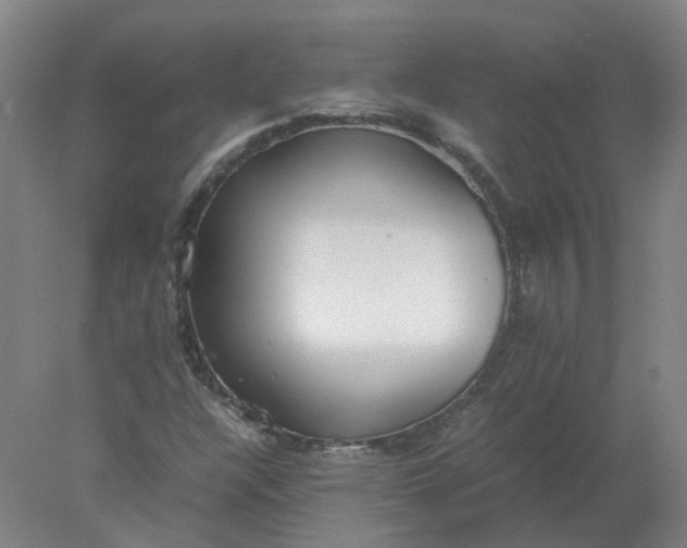 X0000077991304200611101718