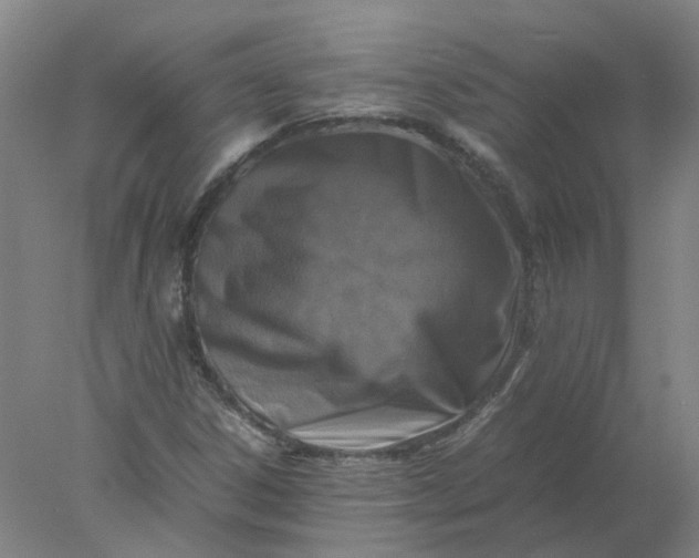 X0000077991306200611101718