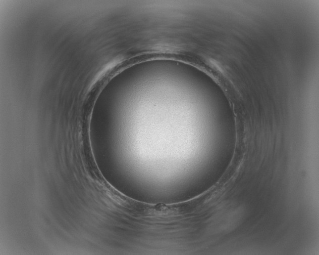 X0000077991307200611101718