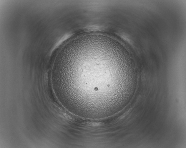 X0000077991309200611101718