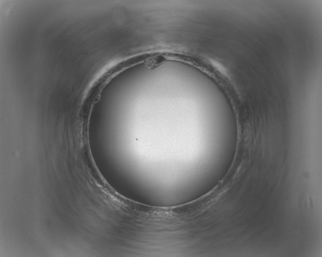 X0000077991310200611101718