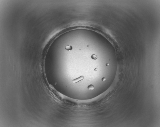 X0000077991312200611101718