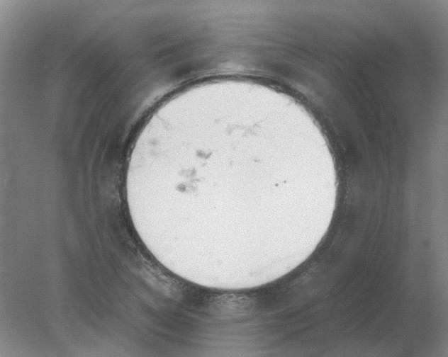 X0000077991314200611101718