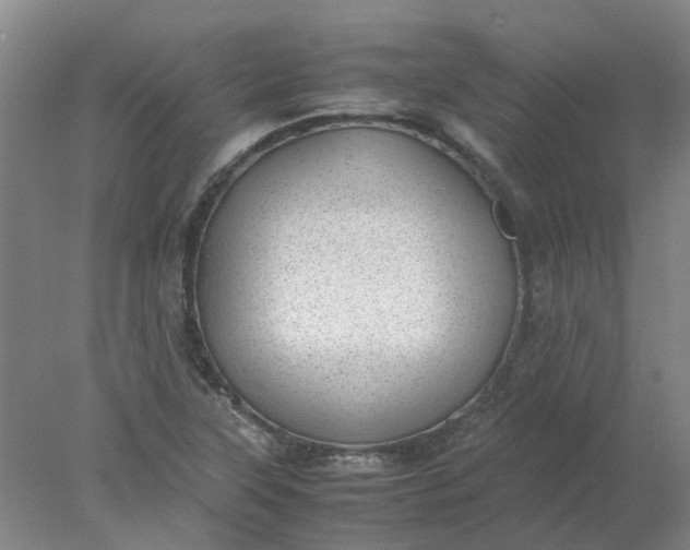 X0000077991315200611101718