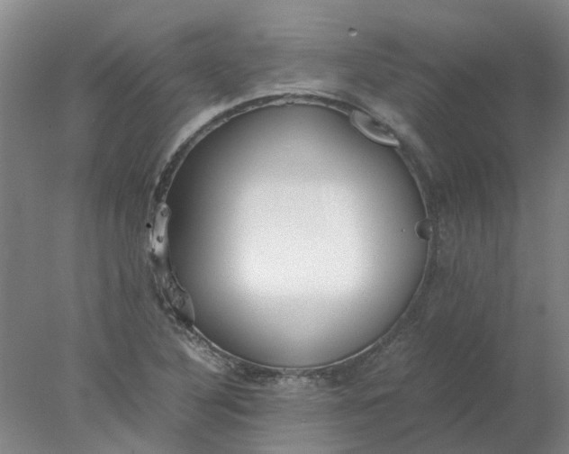 X0000077991316200611101718