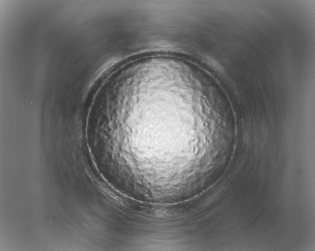 X0000077991318200611101718